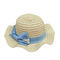 팬톤 컬러 챙이 넓은 밀짚 모자 여성용 비치 모자 사용자 정의 로고